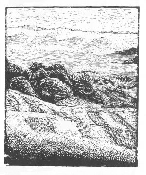 Jørn Grynnerup Jensen - nr. 54